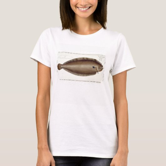 Dover Sole (Solea Solaea)プレートXLV from 'Ichtyol Tシャツ (正面)