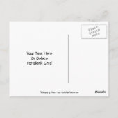 Doves On Branchカスタマイズ可能はがき ポストカード (裏面)