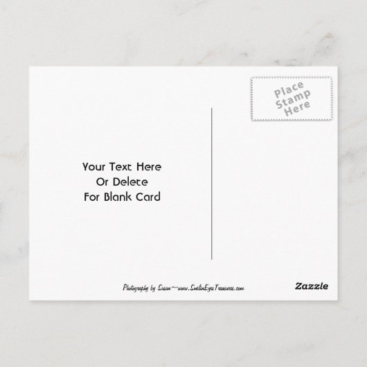 Doves On Branchカスタマイズ可能はがき ポストカード (裏面)