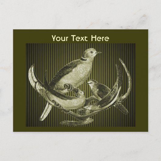 Doves On Branchカスタマイズ可能はがき ポストカード (正面)