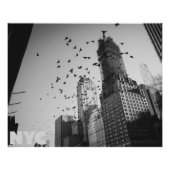 Doves over Manhattan ポスター (正面)