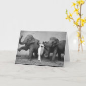 Dovima カード (黄色い花)