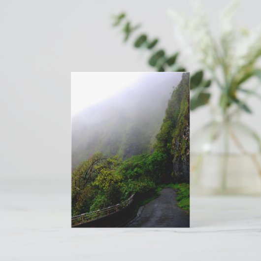 「Down the Beated Path」はがき ポストカード (スタンド正面)