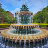 Downtown Charleston, SC建物ポスター ポスター