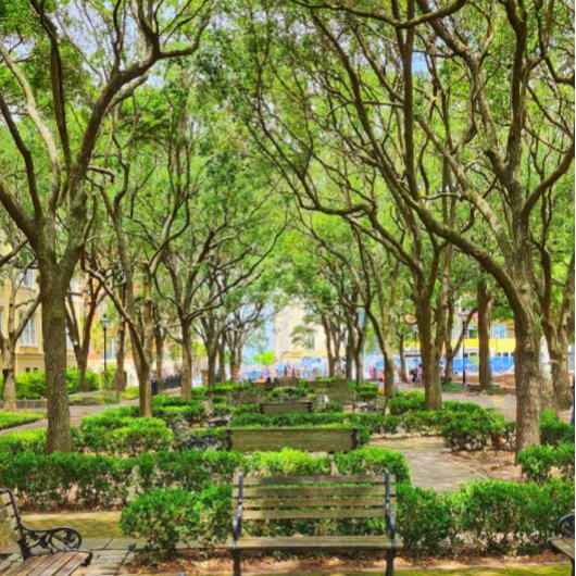 Downtown Charleston, SC建物ポスター ポスター