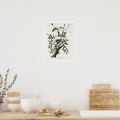 Downy Woodpecker by Audubon Poster ポスター (キッチン)