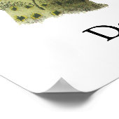 Downy Woodpecker - John Audubon ポスター (角)