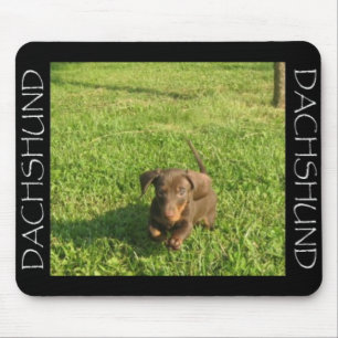 Doxieを走ること マウスパッド