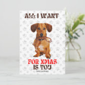 Doxie Leashのクリスマスおもしろいに必要 シーズンカード (スタンド正面)