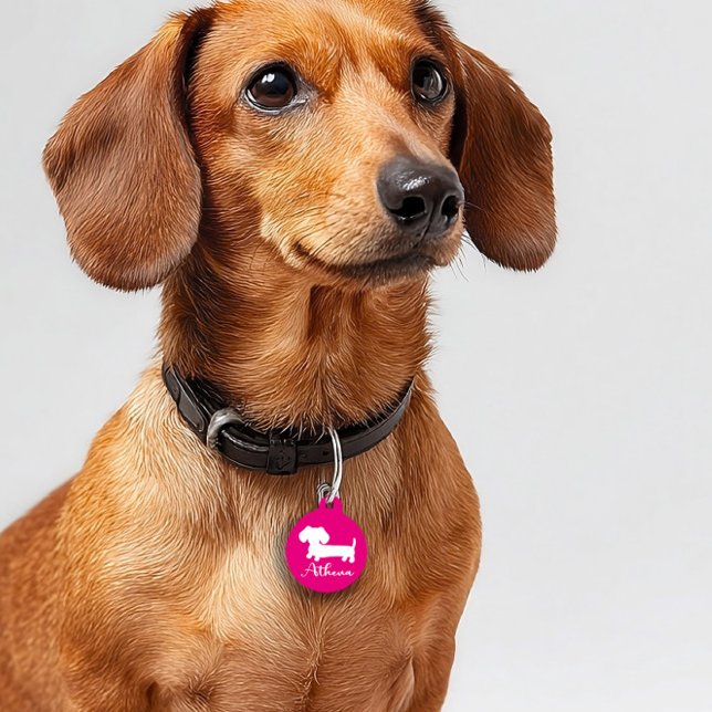 Doxiesのためのピンクの女の子のダックスフントIDのドッグタッグ ペット　ネームタグ (Dachshund ID dog tag - wiener dog mom gift)