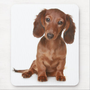 Doxin Wiener Dog Lover Gift Cute Dachshund マウスパッド