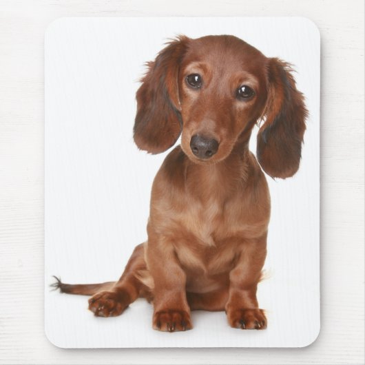 Doxin Wiener Dog Lover Gift Cute Dachshund マウスパッド (正面)