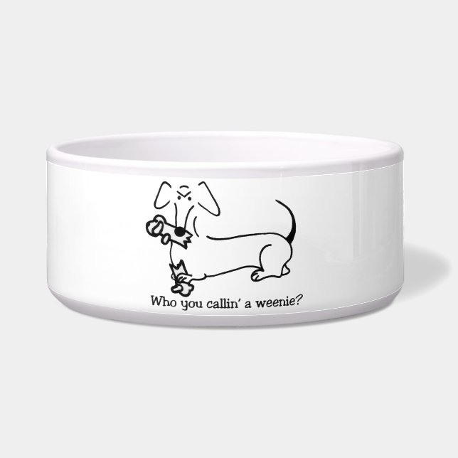 Doxitudeの食糧皿 ボウル (正面)