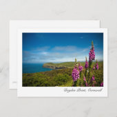 Doyden Point、Cornwallポストカード ポストカード (正面/裏面)