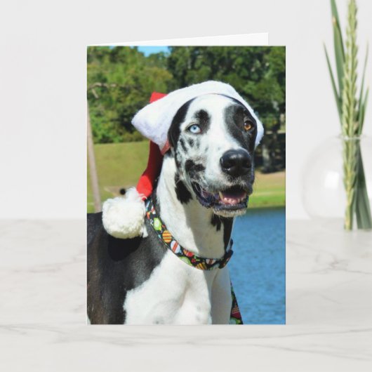 Dozerのクリスマスカード シーズンカード (正面)