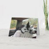 Dozerの挨拶状 カード (正面)