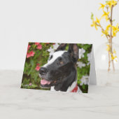 Dozerの挨拶状 カード (黄色い花)