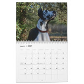 Dozerセラピー犬のカレンダー カレンダー (3月 2027)