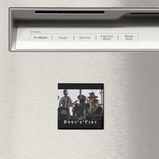 D'Pバンド磁石2 マグネット (インサイチュ (食洗機))