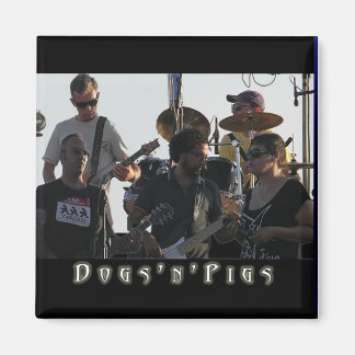 D'Pバンド磁石2 マグネット