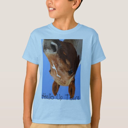 DPP_1072、こんにちは Tシャツ (正面)
