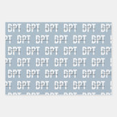 DPTドクターオブフィジカルセラピー ラッピングペーパーシート (正面)