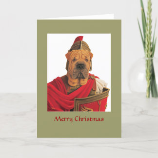 DR068 Shar Pei, Merry Christmas シーズンカード