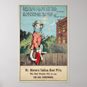 Dr Morse Cat Trade Card #1 (of 4) ポスター