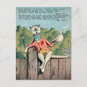 Dr. Morse Cat Trade Card #2 (of 4) ポストカード