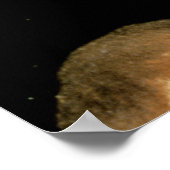 Dr. Nicolaes Tulpの解剖学のレッスン， 1632 ポスター (角)