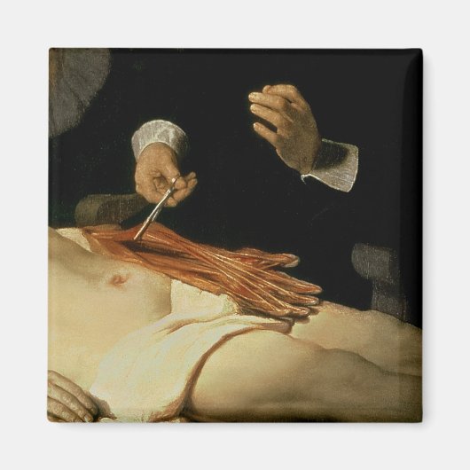 Dr. Nicolaes Tulpの解剖学のレッスン, 1632 マグネット (正面)