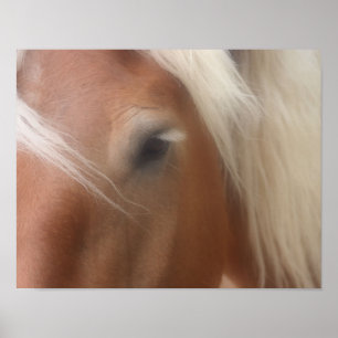 Draft Horse Eye Wisdom ポスター