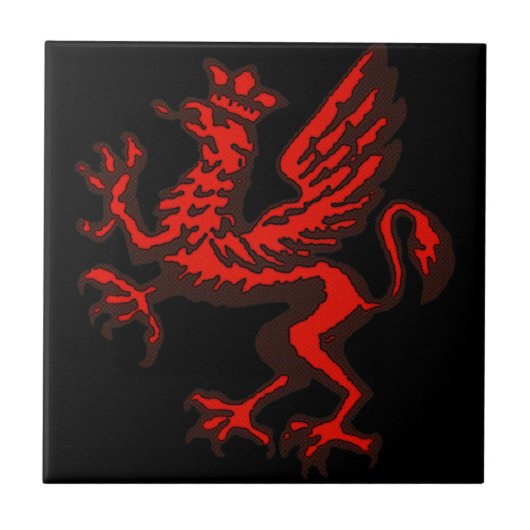 Dragão vermelho タイル (正面)