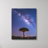 Dragon Blood Tree Milky Way Canvas  Ancient Nature キャンバスプリント (正面)