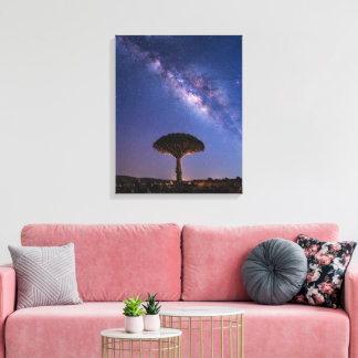 Dragon Blood Tree Milky Way Canvas Ancient Nature キャンバスプリント