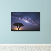 Dragon Blood Tree Milky Way Canvas  Ancient Nature キャンバスプリント (インサイチュ (ウッドフロア))