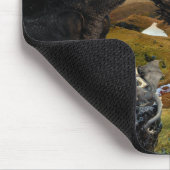 Dragon King The Gathering Fantasy マウスパッド (コーナー)