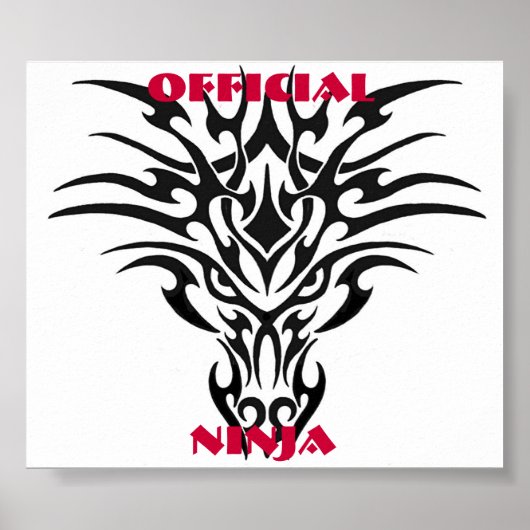 Dragon Poster ポスター (正面)