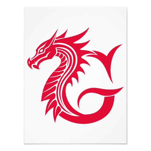 Dragon Styled Letter G, Dragon Alphabet, Monogram フォトプリント (正面)