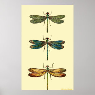Dragonflies ポスター