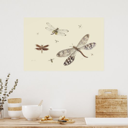 Dragonflies 18th century art ポスター (キッチン)
