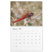 Dragonflies in Nature Wall Calendar Cute カレンダー (2月 2027)