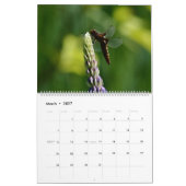 Dragonflies in Nature Wall Calendar Cute カレンダー (3月 2027)