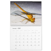 Dragonflies in Nature Wall Calendar Cute カレンダー (1月 2027)