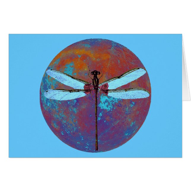 Dragonflight (正面横)