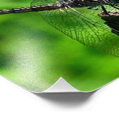 Dragonflyクローズアップ自然8x10 フォトプリント (角)
