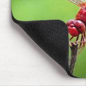 Dragonflyマウスパッド緑と赤 マウスパッド (コーナー)