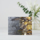 Dragonflyマクロ ポストカード (スタンド正面)