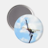 Dragonfly ~ 離陸準備 マグネット (正面/裏面)