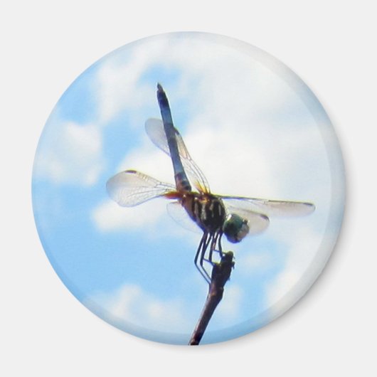 Dragonfly ~ 離陸準備 マグネット (正面)